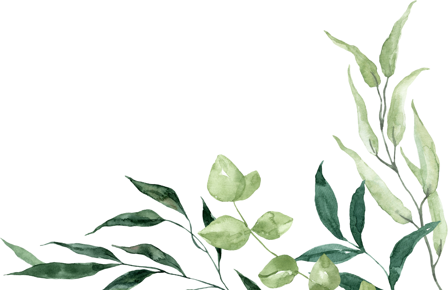Watercolor floral border. Green leaf frame.
